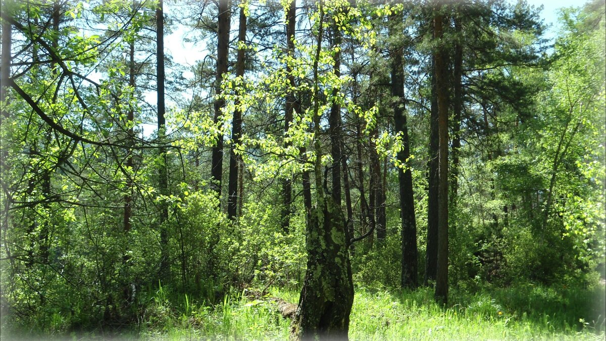 Поездка на Камышлинский водопад. Фото автора.