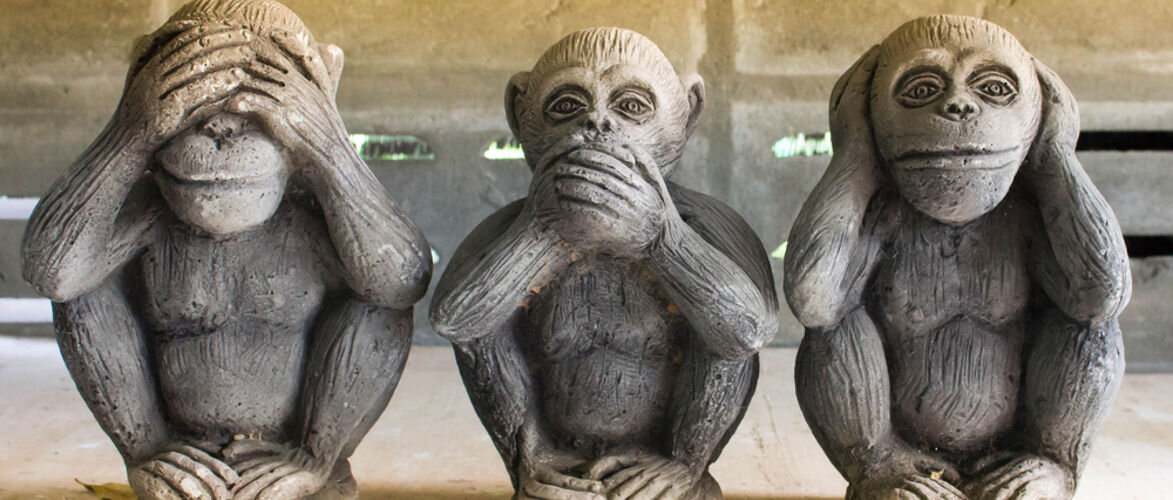 Ничего не вижу, ничего не слышу, ничего никому не скажу