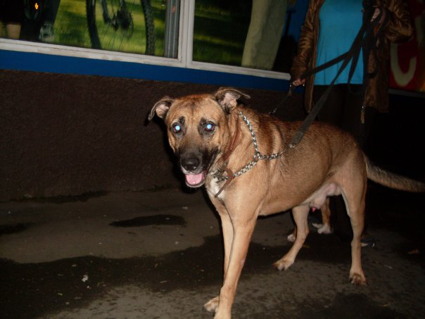 Наша первая прогулка