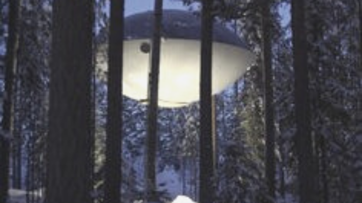 Tree hotel. Отель Treehotel НЛО. Treehotel Швеция НЛО. Tree Hotel Швеция НЛО. Tree Hotel Швеция Харадс НЛО внутри.
