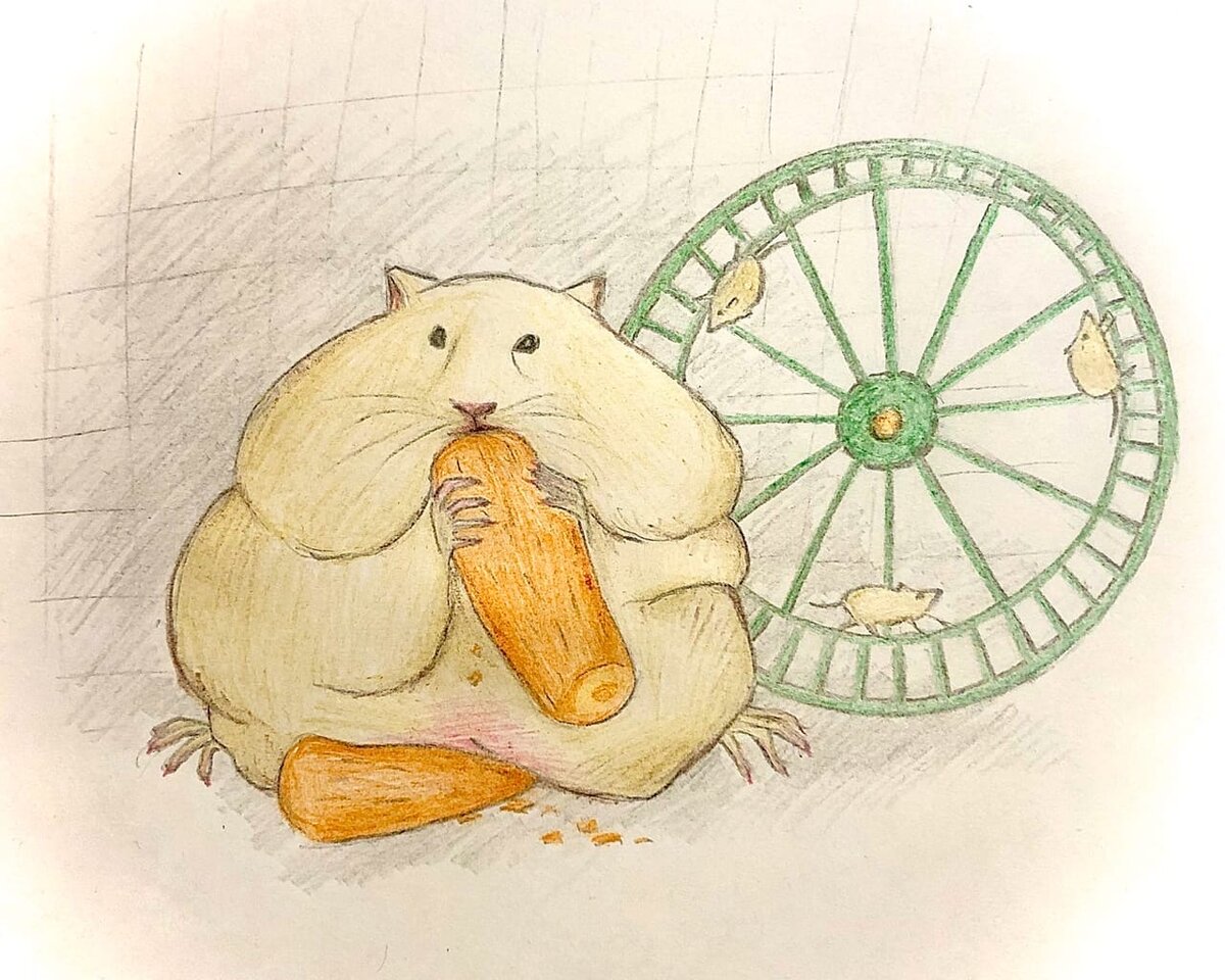Как нарисовать колесо для хомяка