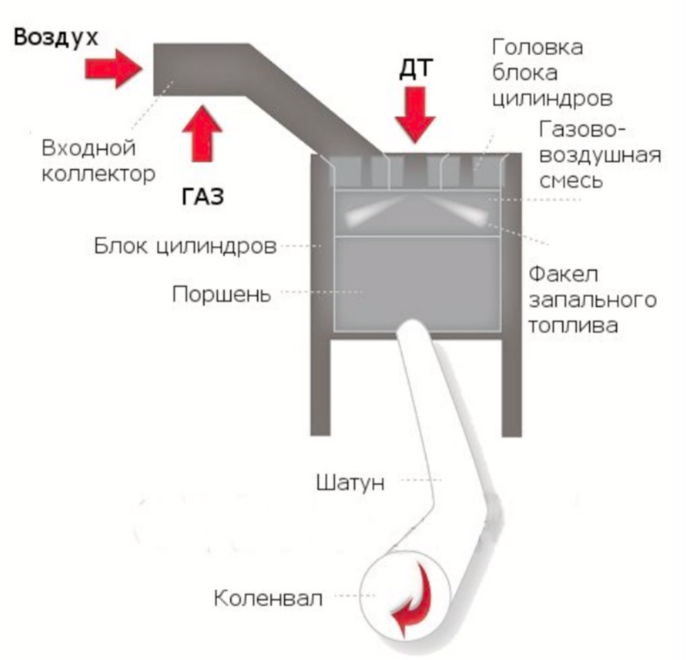 ПРОВАЛ ГАЗОДИЗЕЛЬНОЙ ПРАКТИКИ | LeColoboqueJournal | Дзен