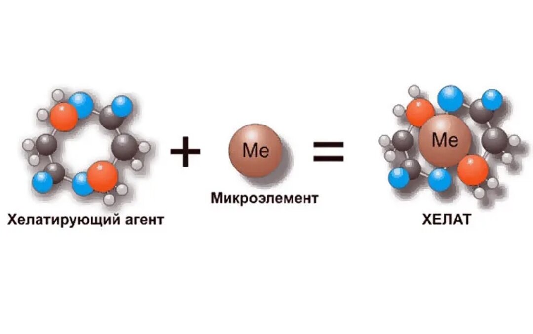 Микроэлементы хелатные комплексы. Хелатный комплекс железа формула. Хелатные соединения микроэлементов. Аминокислотный Хелат железа формула.