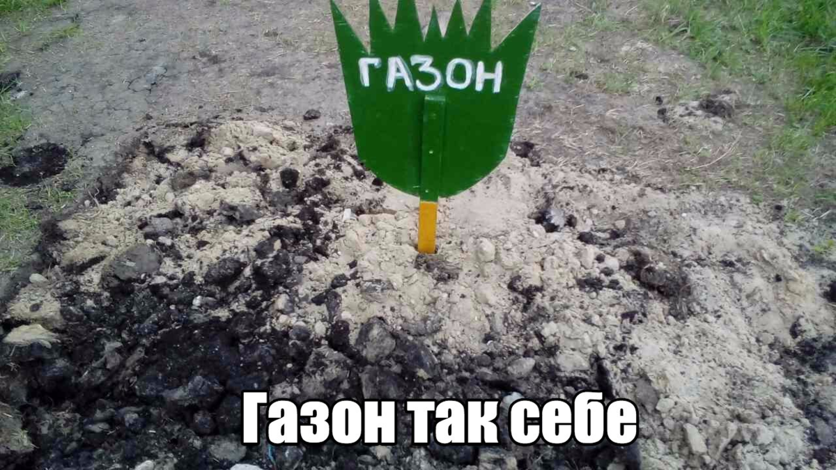 Зато без сорняков.