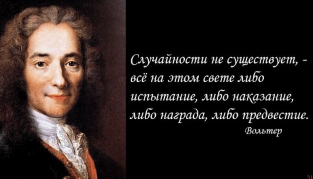 В чем выражается свобода выборов