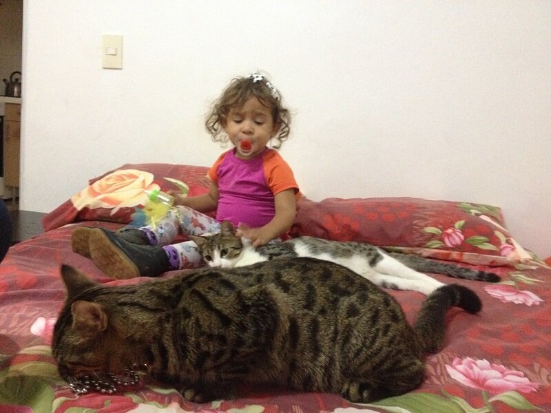 Диане год и 11 месяцев, Дукати 9 месяцев, Энсо 5 месяцев