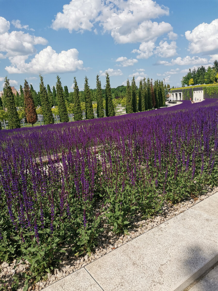 Из личного архива