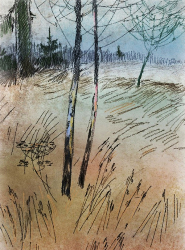 рисунок автора