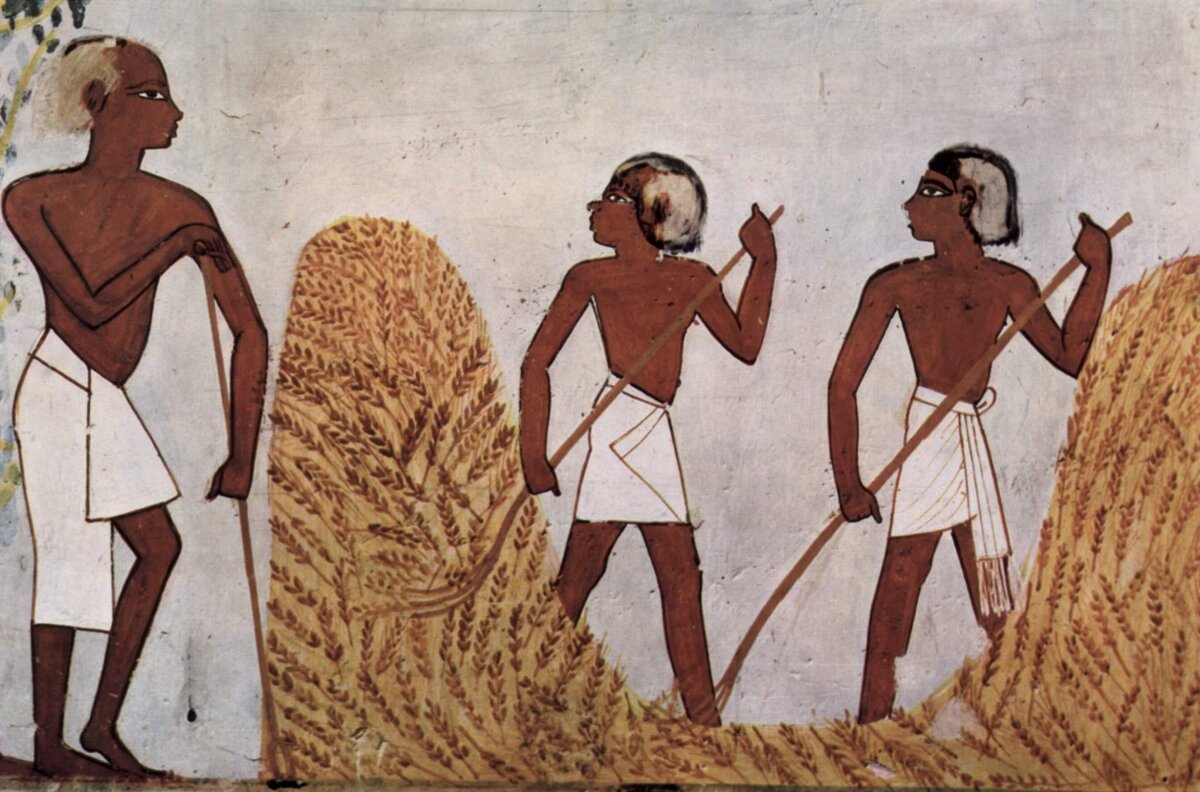 Люди еще в древности заметили. Земледелие в древнем Египте. Египетские земледельцы в древнем Египте. Египет древний земледелие земледелие. Древний Египтянин земледелец.