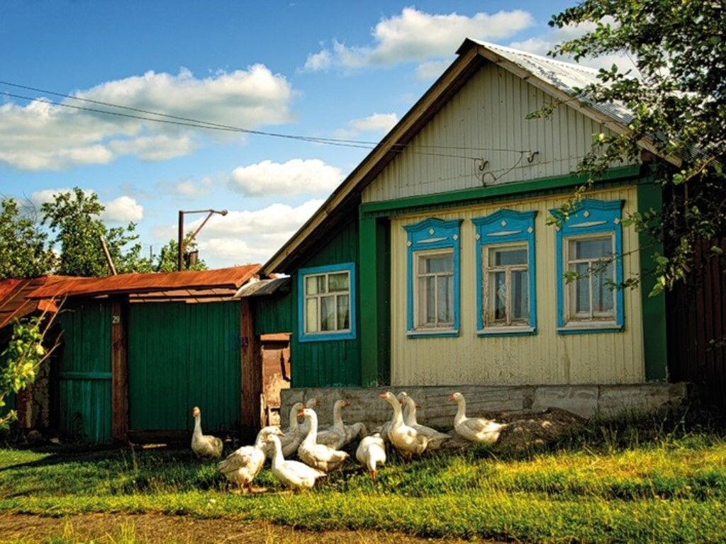 Сельская 2 1. Дом с хозяйством в деревне. Частный дом в деревне. Дом в селе. Дом в сельской местности.