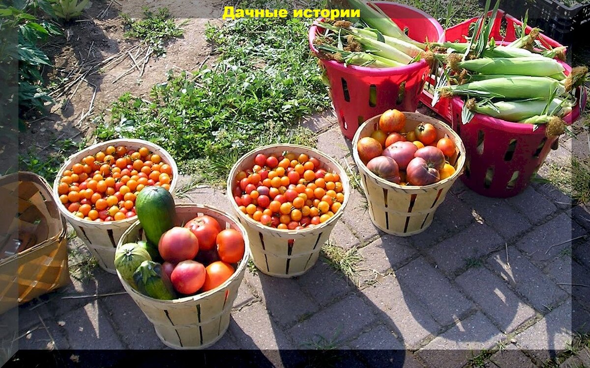 https://vk.com/photo-159774511_457254385