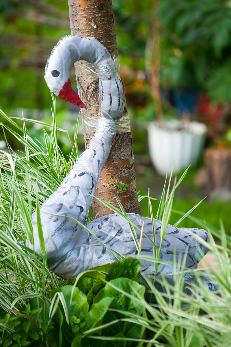 Анекдоты про внешность, рассказанные фотографом | Фотопутешествия | Дзен