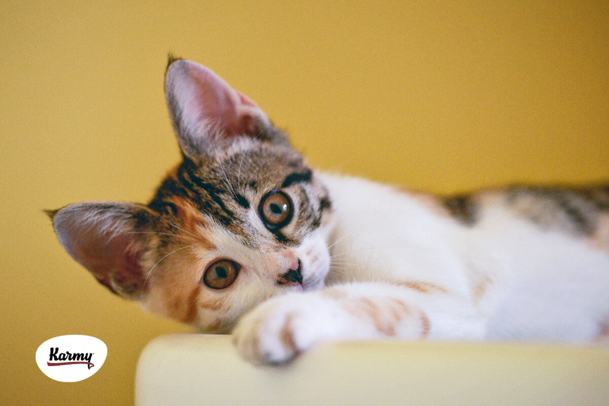 Авторское изображение с использованием картинки с фотостока "Unsplash"