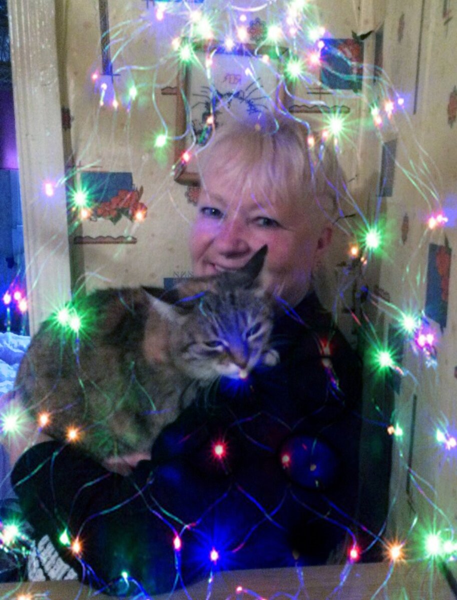 (Фото автора).