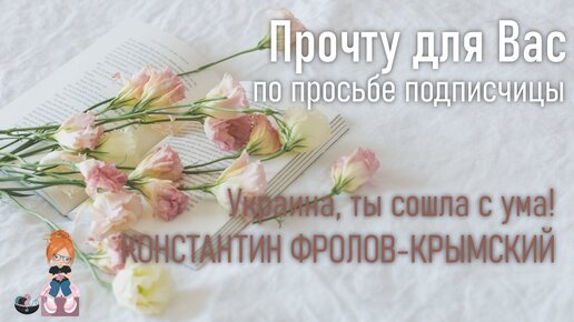 природой дан мне мой наряд найди меня и будешь рад мини титаны