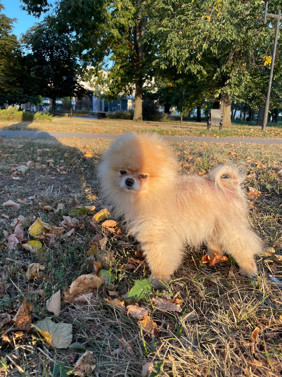 Наш красивый парень 