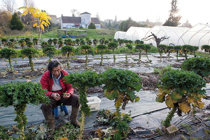 Sunt greu de cumpărat, uneori arată neobișnuit și costă întotdeauna mulți bani.  Ce au în comun toate aceste produse?-12
