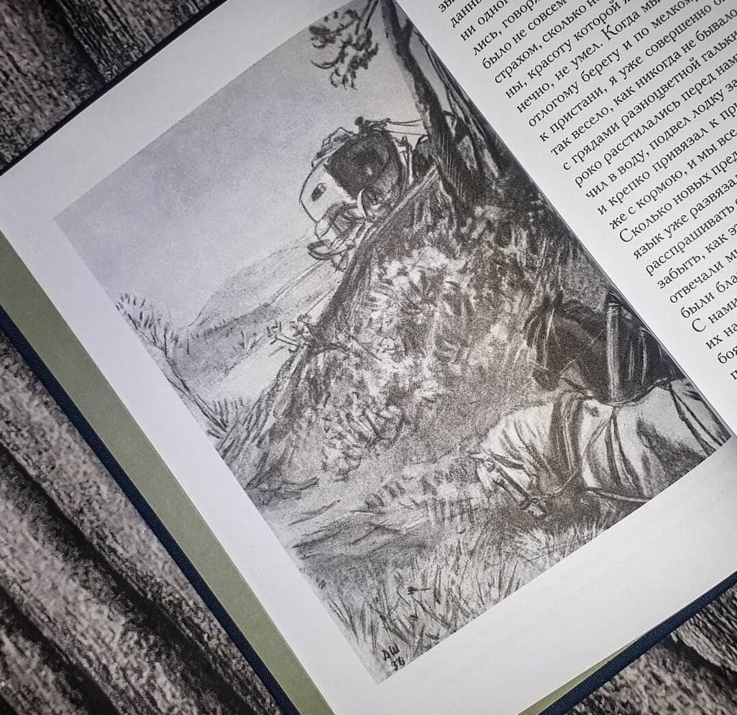 Художник Дементий Шмаринов 