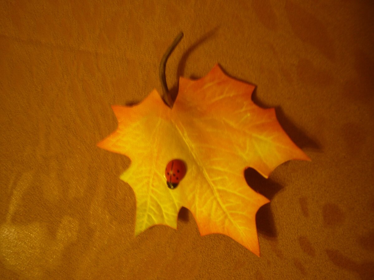 вот такой лист из фоамирана был сделан когда-то...