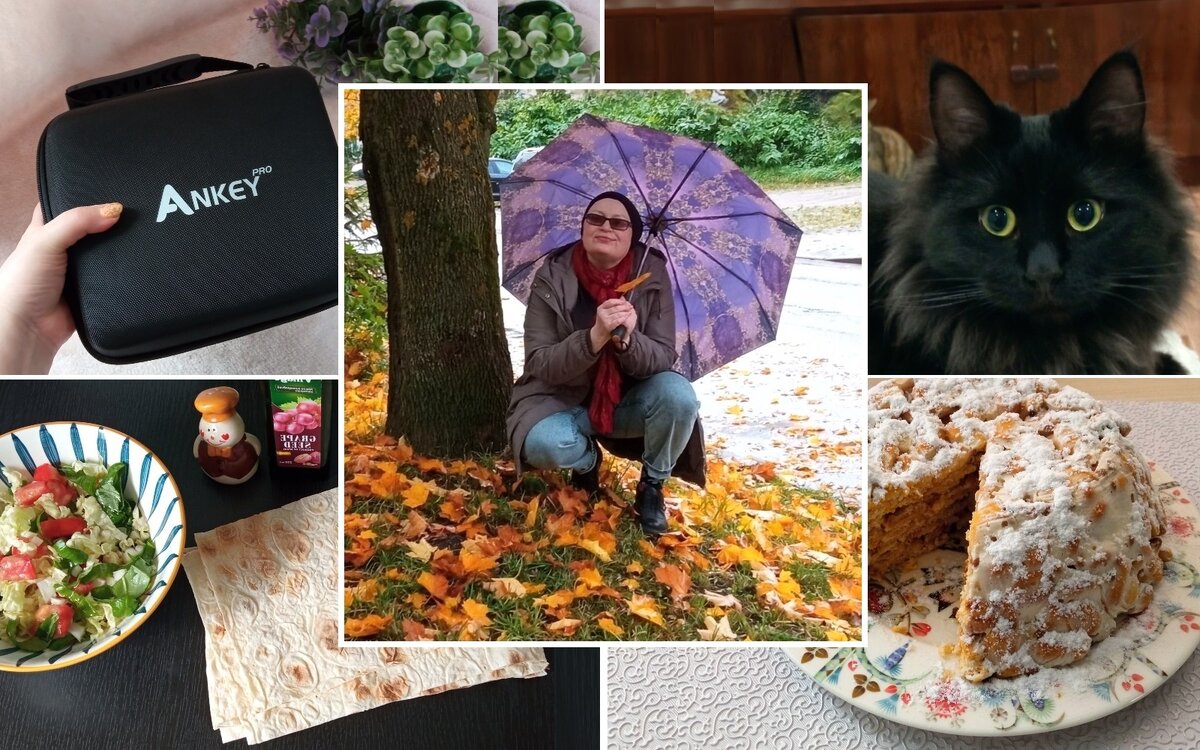 Конец сентября 2022, СПб