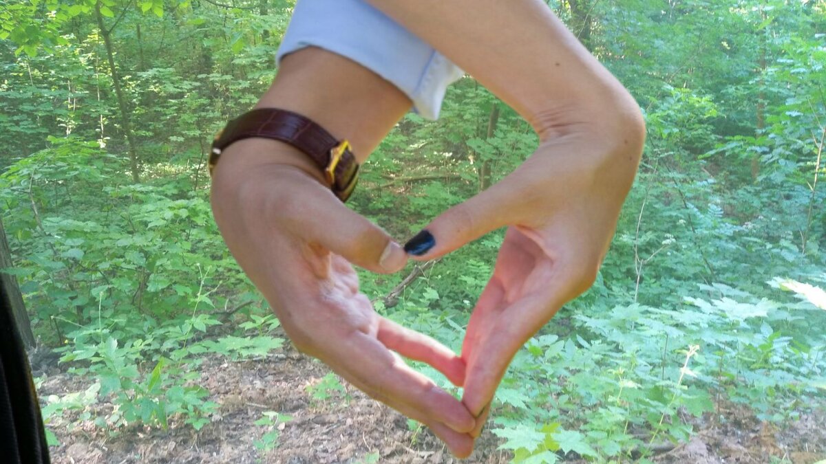 Источник: www.shutterstock.com