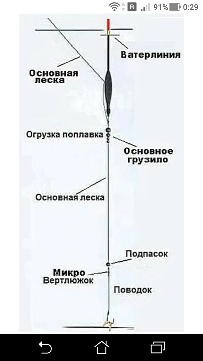 Леска на поводок на плотву