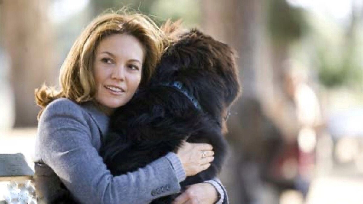 Кино «Любовь к собакам обязательна»