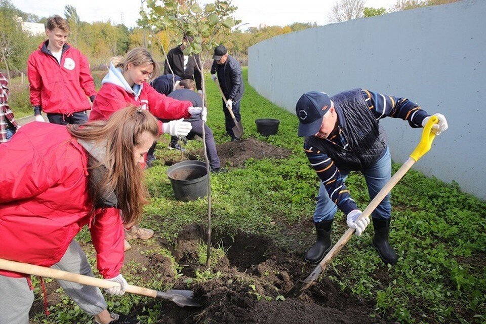     Глава региона присоединился к общеобластному субботнику. Фото: сайт правительства РО