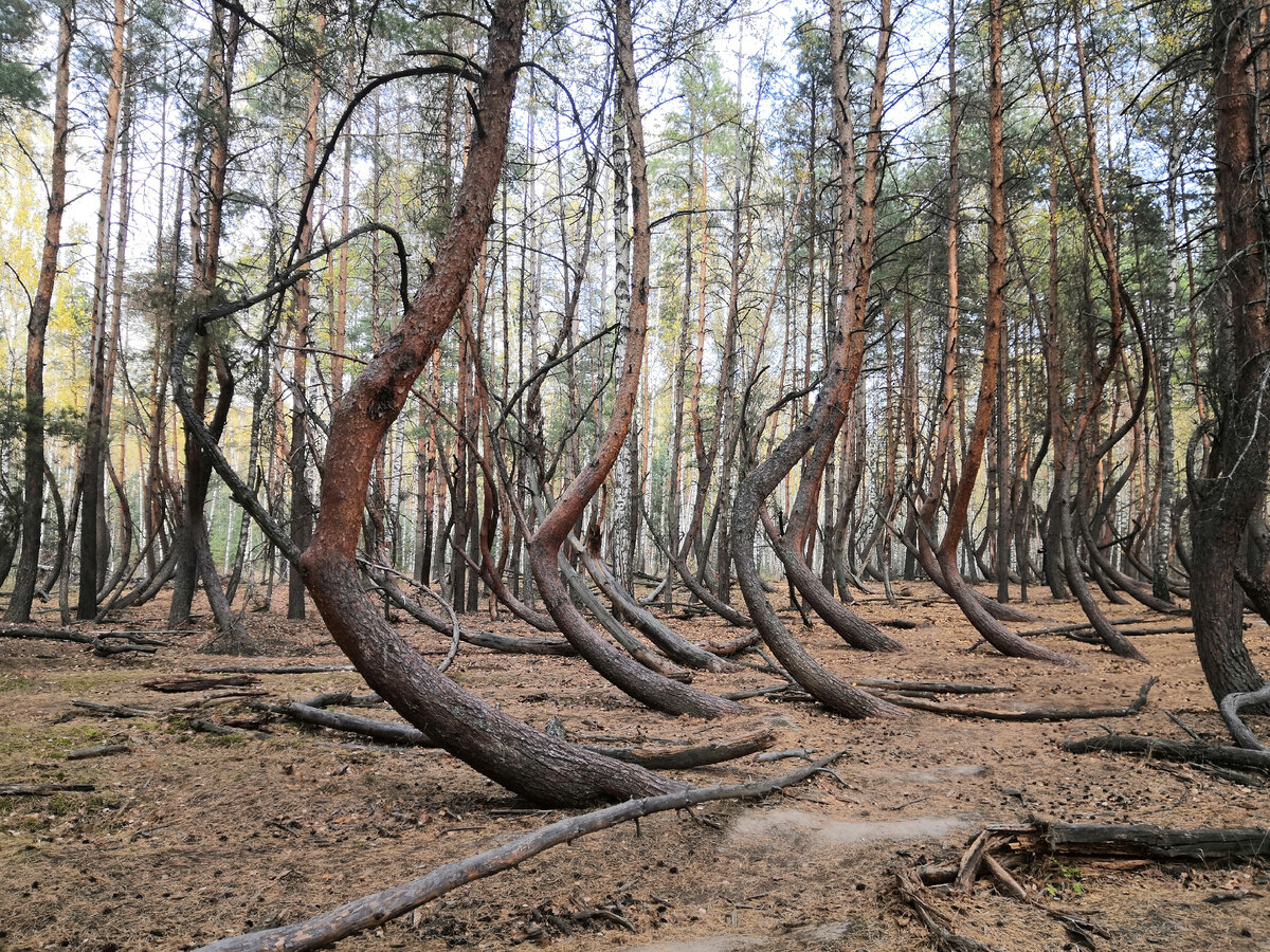 Пьяный или танцующий? Вот в чем вопрос...