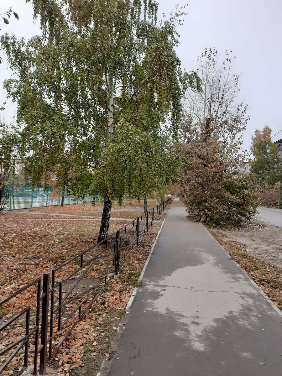 осень