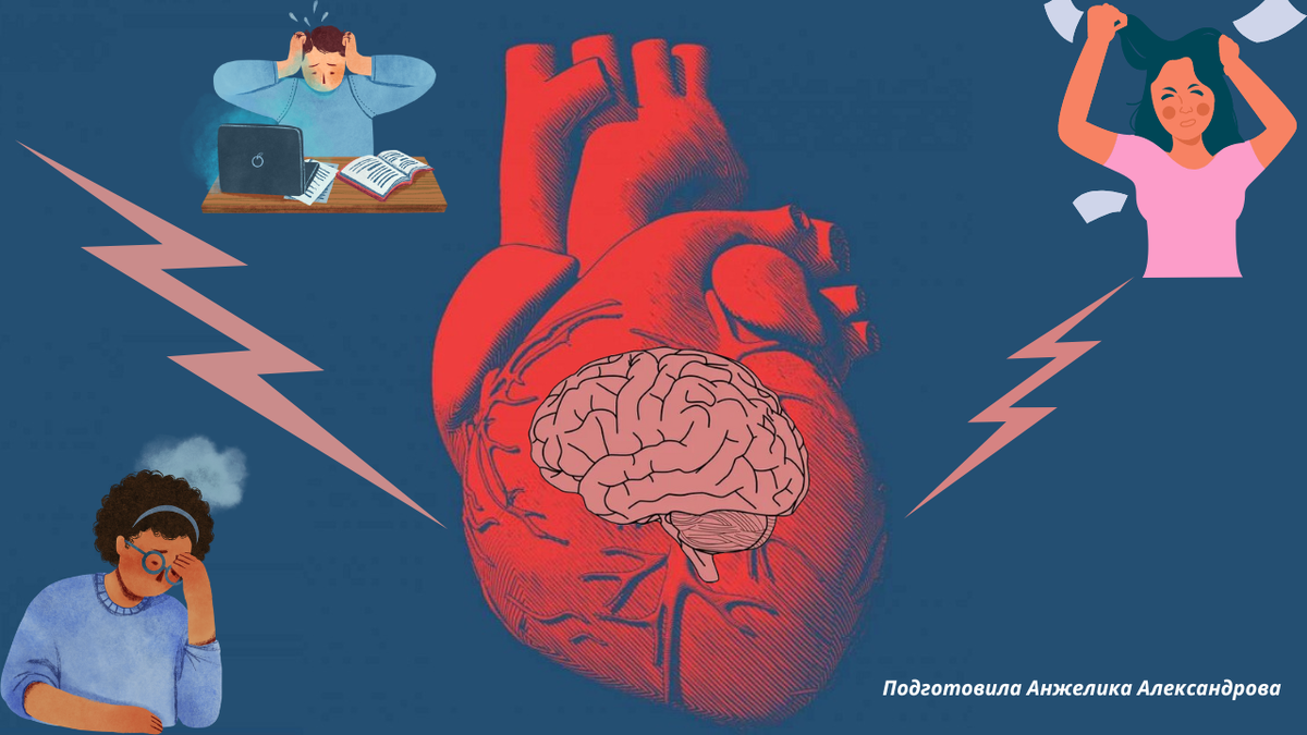 Мозг в сердце – оружие против стресса | Надежда для сердца | Дзен