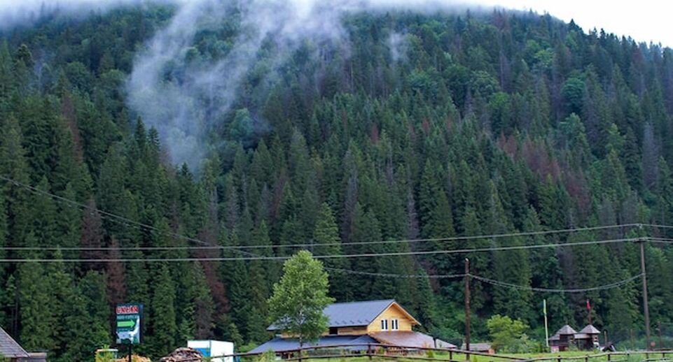 Закарпатье. Фото freepik.com📷

