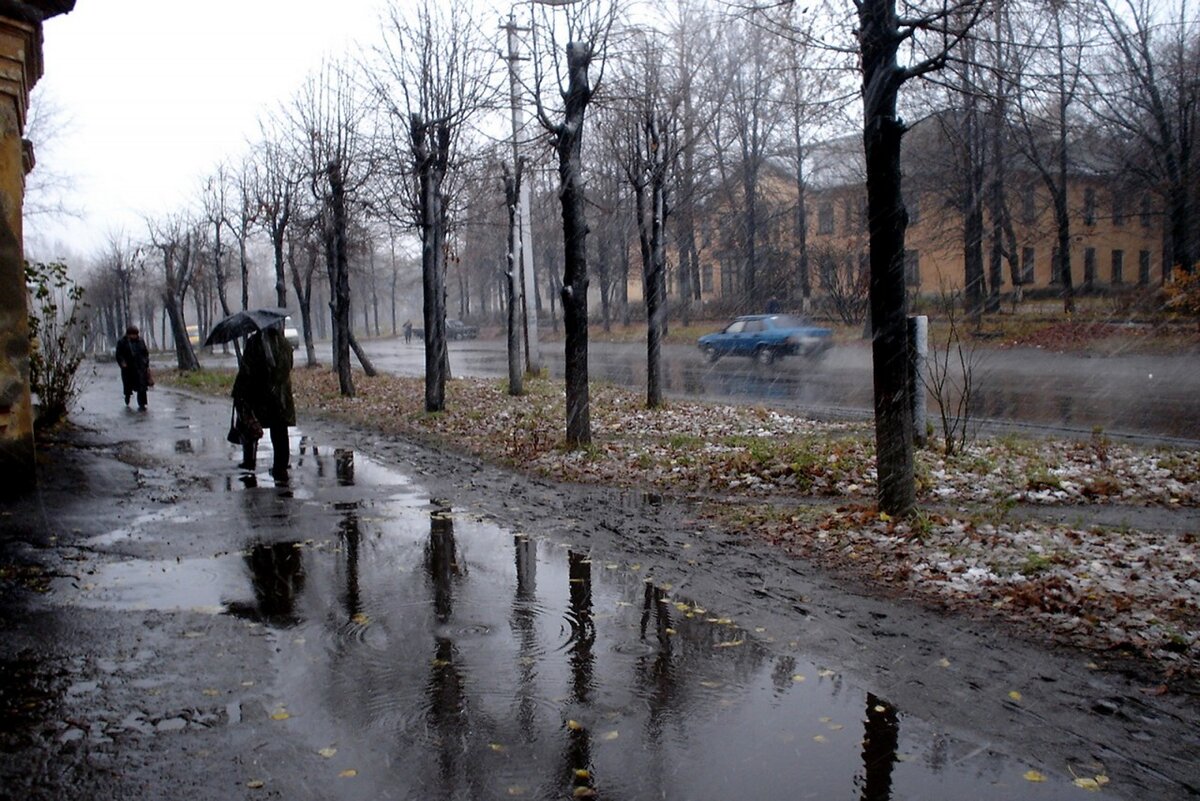 Яндекс. Открытый источник