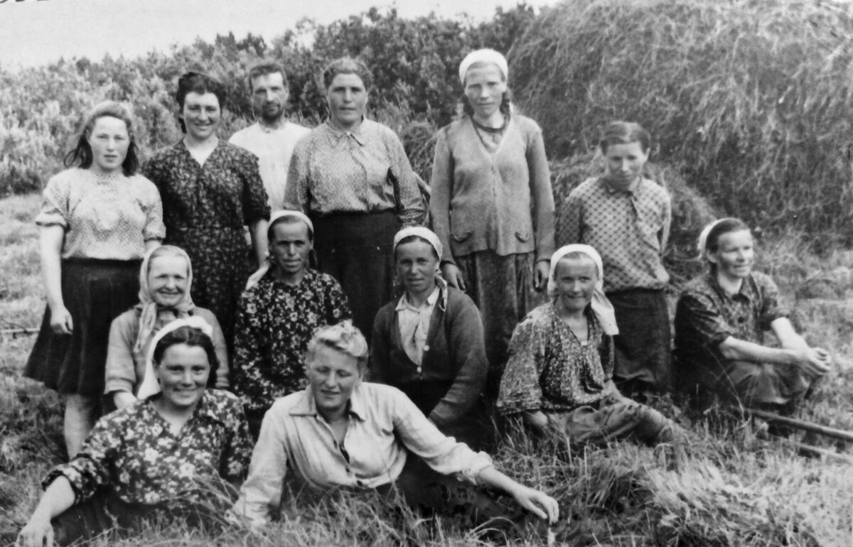 1953 год. Колхозная полеводческая бригада на сенокосе. Фото из личного архива автора.