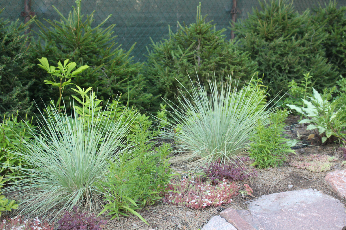 2.Наш сад 03.08