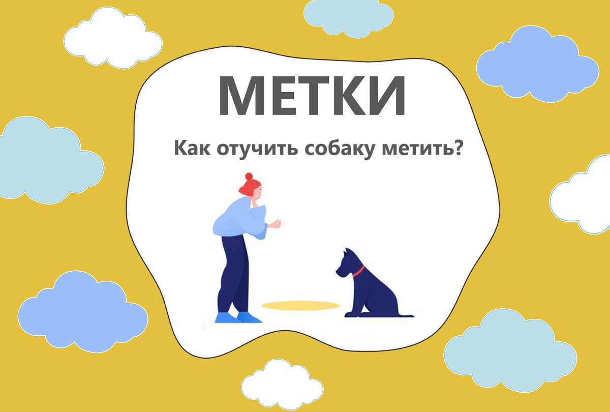 Как отучить собаку метить? 