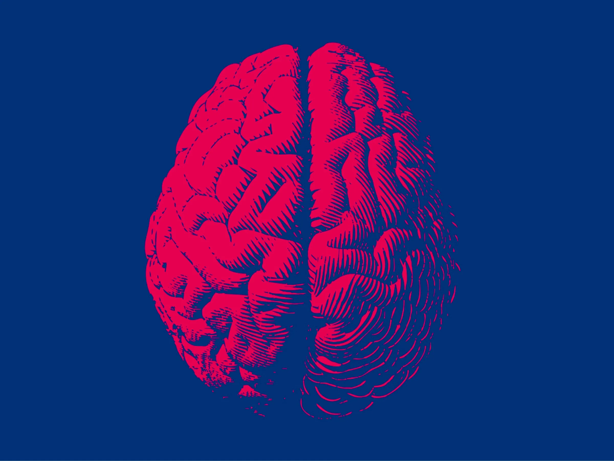 Заставки человеческий мозг. Мозг человека арт. Brain rot