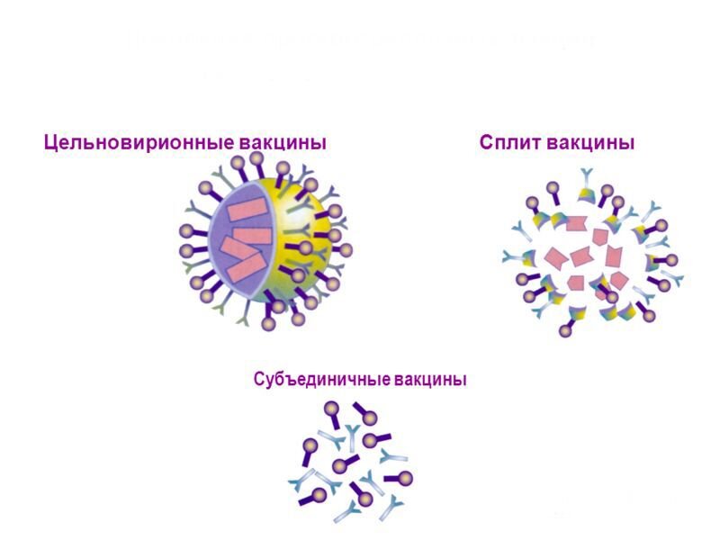 Наглядное различие между тремя видами вакцин. Изображение из открытых источников.