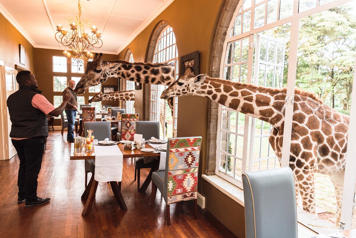 источник www.tripadvisor.ru 