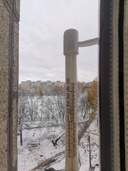   Уличный термометр Наталия Николаева © ИА REGNUM