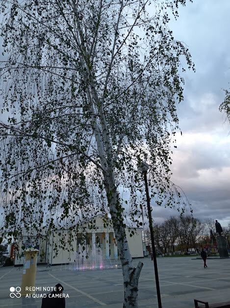 Фото №2. Вечерняя прогулка по осеннему Абинску.