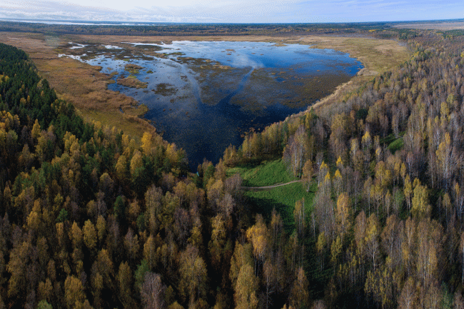 фото: Павел Богачёв / сайт ООПТ Ленинградской области (ooptlo.ru)