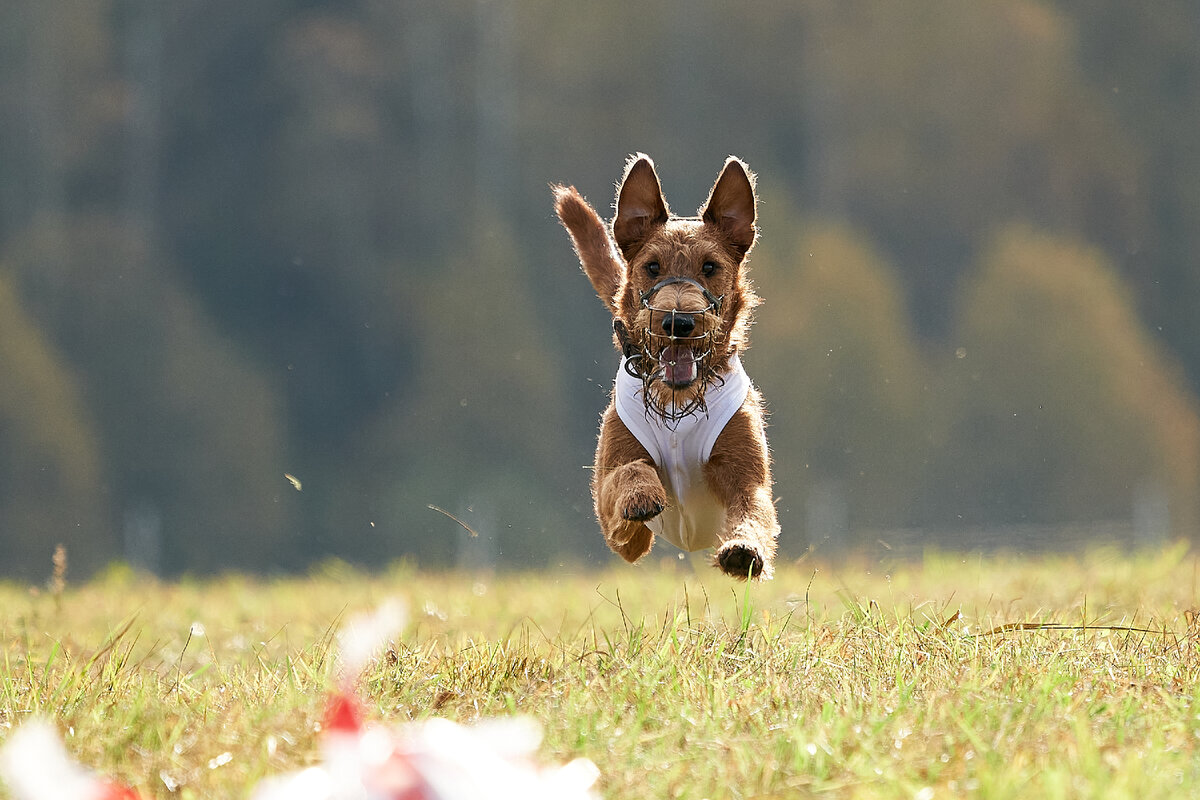 Левитирующий Бродерик. Фотограф Михаил Манухин