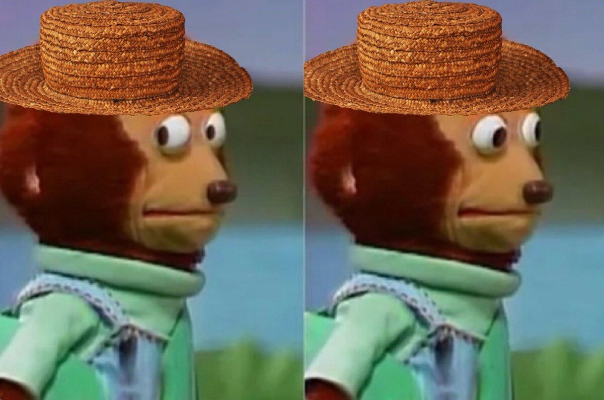 когда на экзамене по итальянскому не совпало количество вопросов и строчек для ответов в бланке