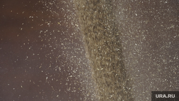    Источник РИАН сообщил о продолжении переговоров по зерновой сделке