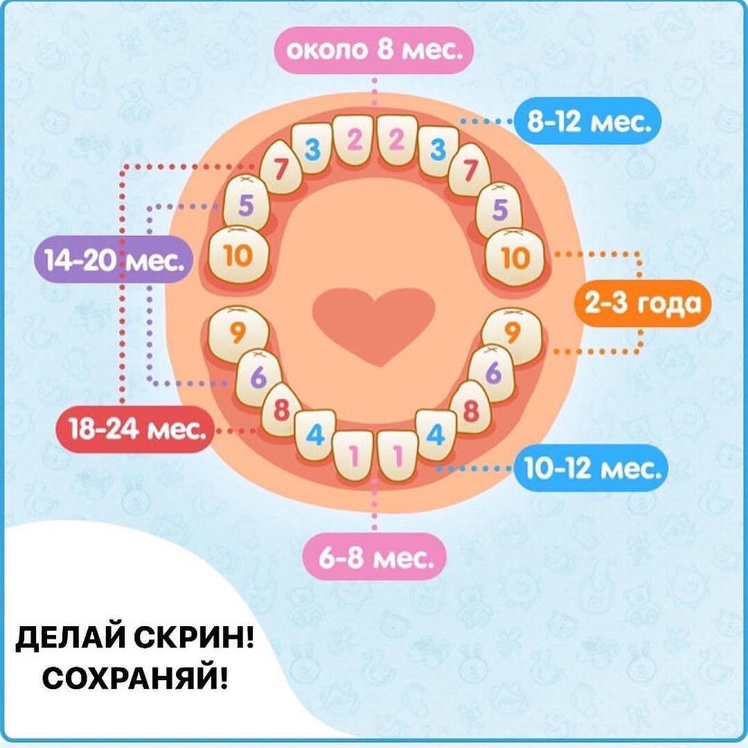 Ночные кормления малышей и кариес - мифы и реальность. Почему важно лечить  зубы маме во время беременности | Готова к деткам | Дзен