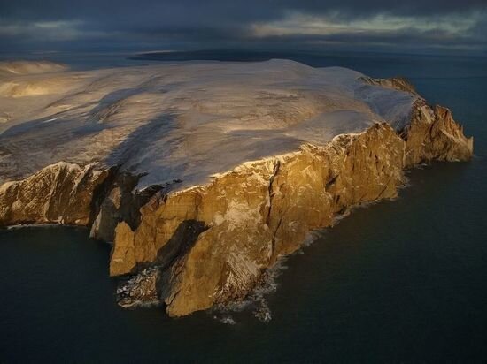     фото: остров врангеля. источник: википедия