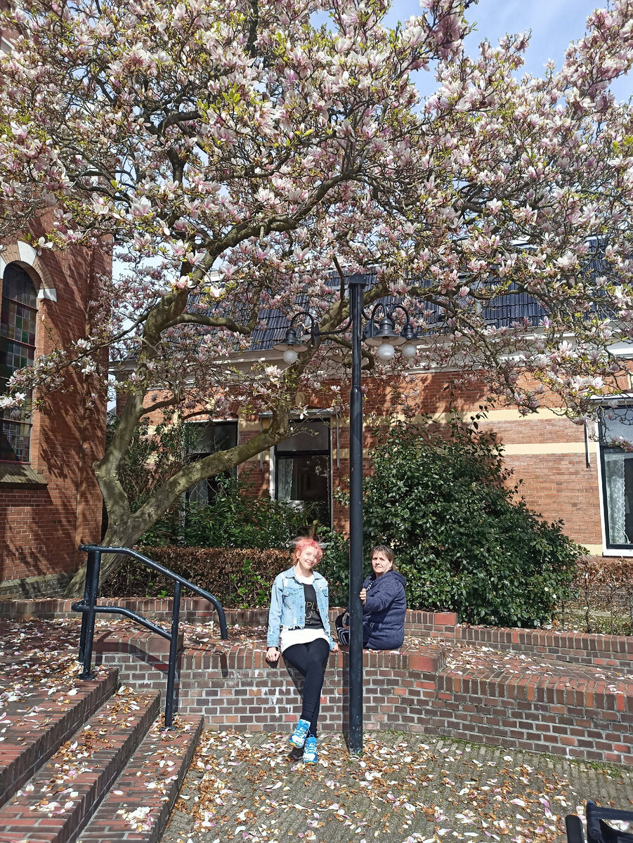 Фото с Дзен канала "Светольда Батьковна".