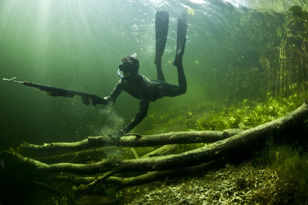 Фото подводная охота картинки