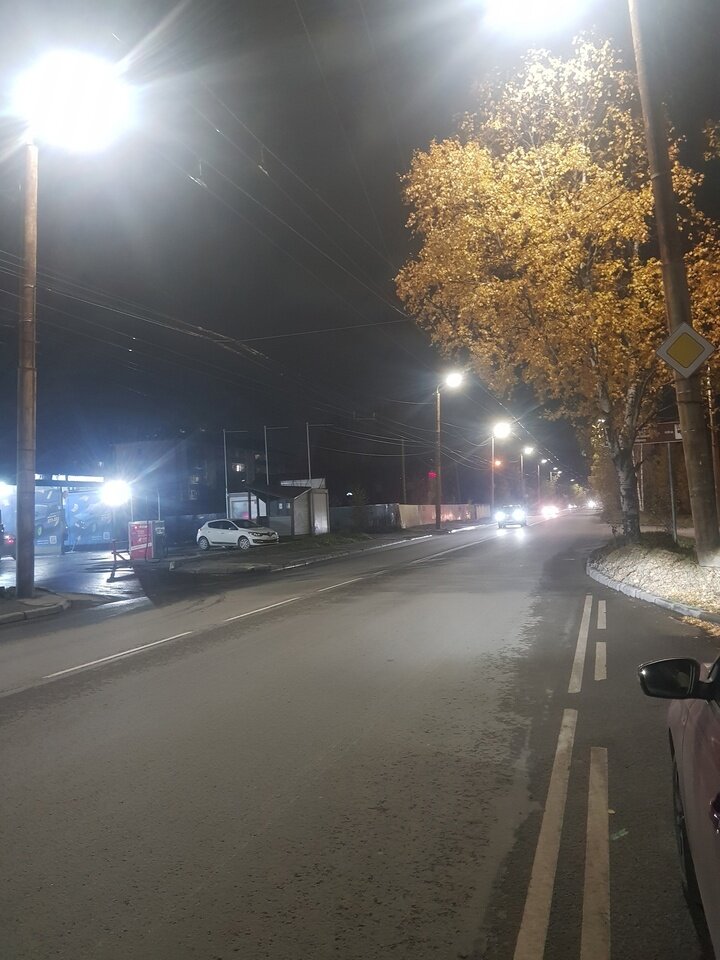     Фото: администрация Петрозаводска